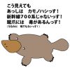 【パニック障害】新幹線に気軽に乗れるようになるためのポイント